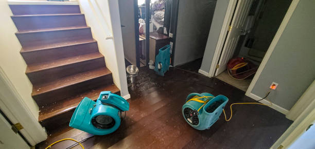 Best Water damage restoration near me  in Olney, TX