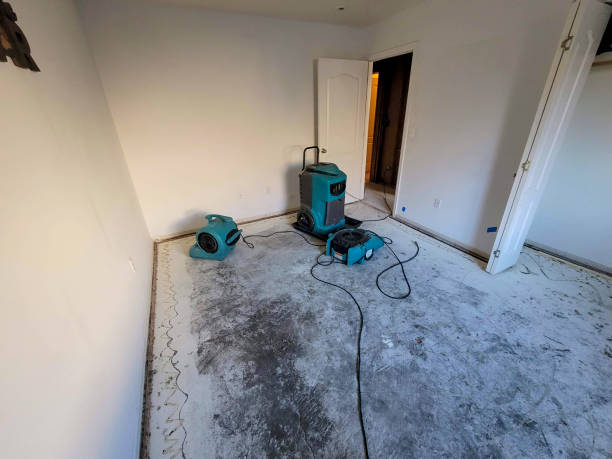 Best Sewage cleanup and water damage restoration  in Olney, TX