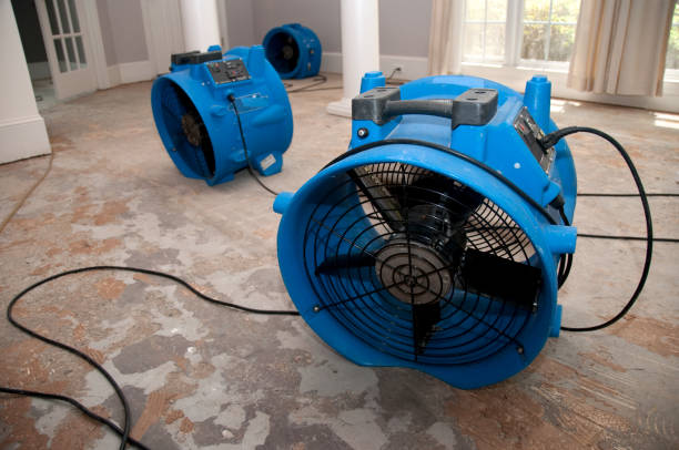 Best Water damage contractors near me  in Olney, TX
